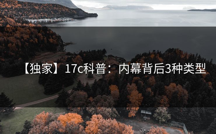 【独家】17c科普：内幕背后3种类型